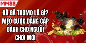 đá gà thomo